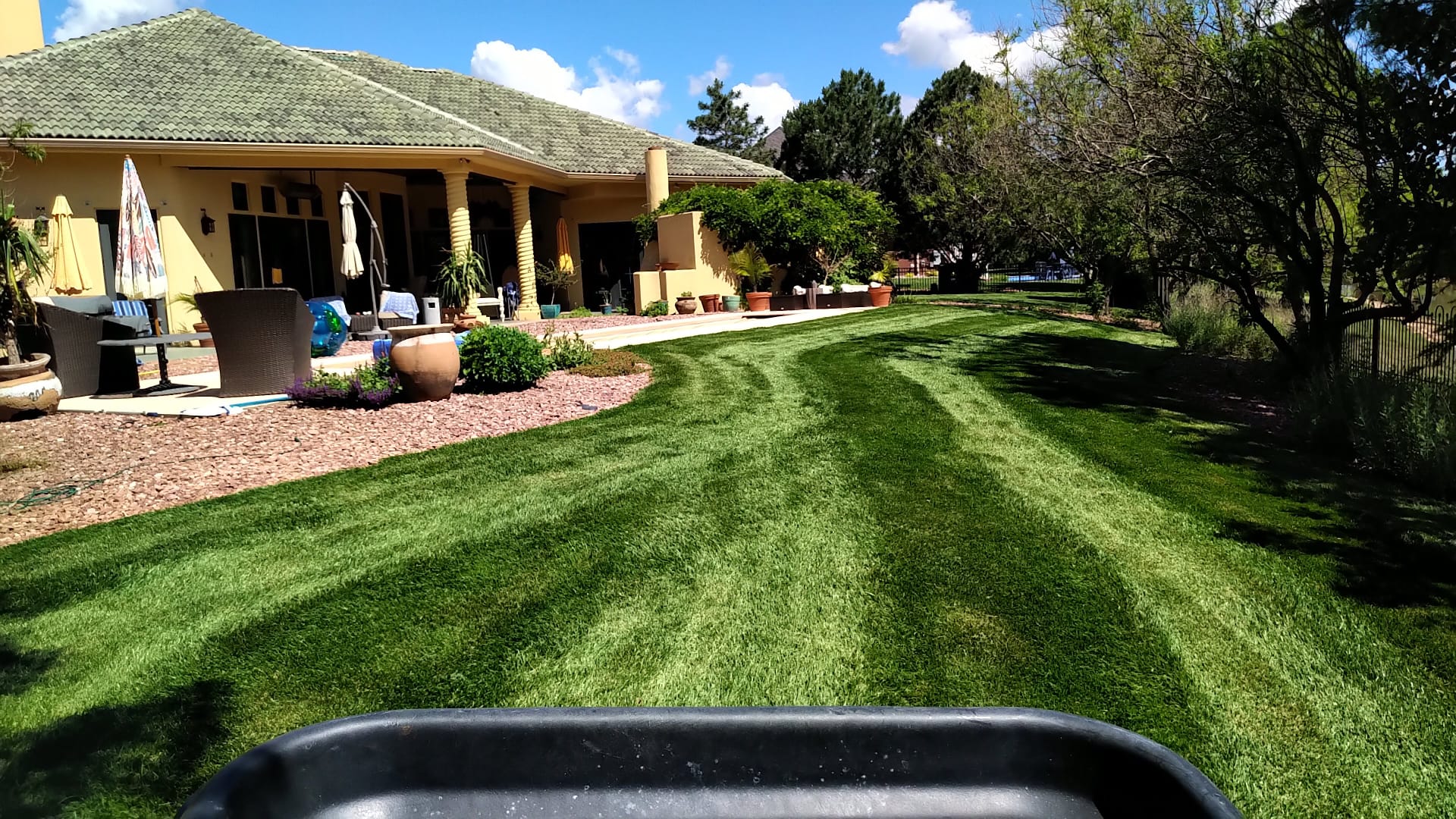 Thick green lawn result